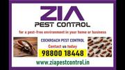 Cockcroach Pest Control | 100% Result | Safe and Secured Service | 703